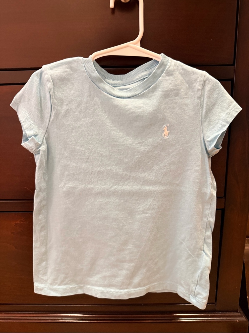 Polo by Ralph Lauren Light teal Kids Short Sleeve Tee with Pony